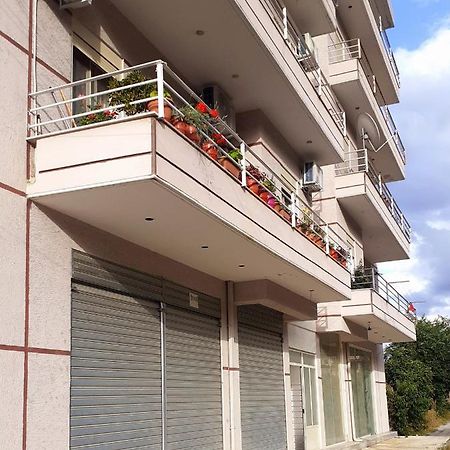 Drini Apartments Πρεμετή Εξωτερικό φωτογραφία